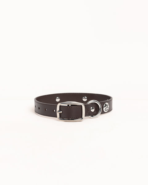 Ss Link Studded Dog Collar Accessories In Brown