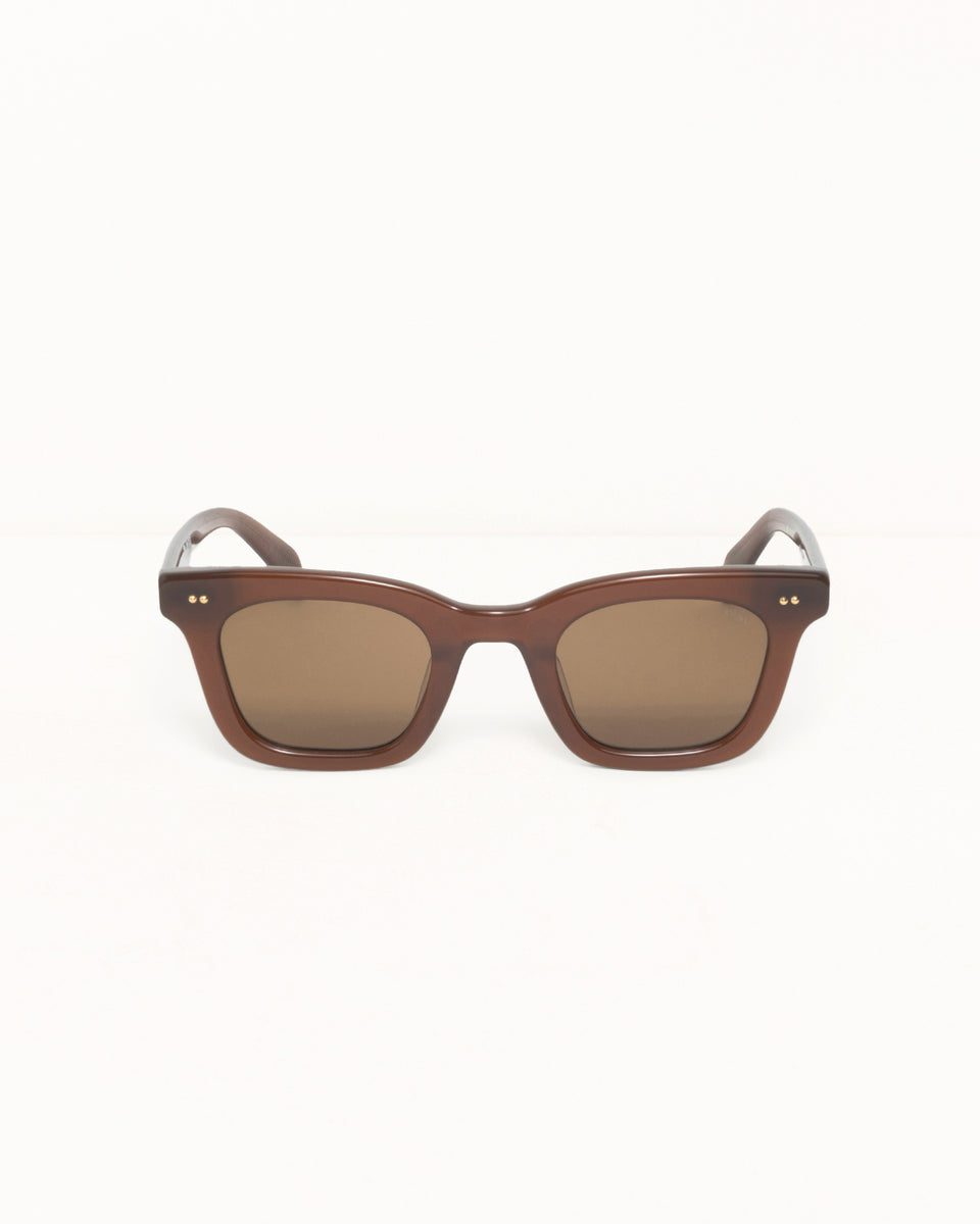 Ace Sunglasses Accessories In Dark Brown/brown Lens