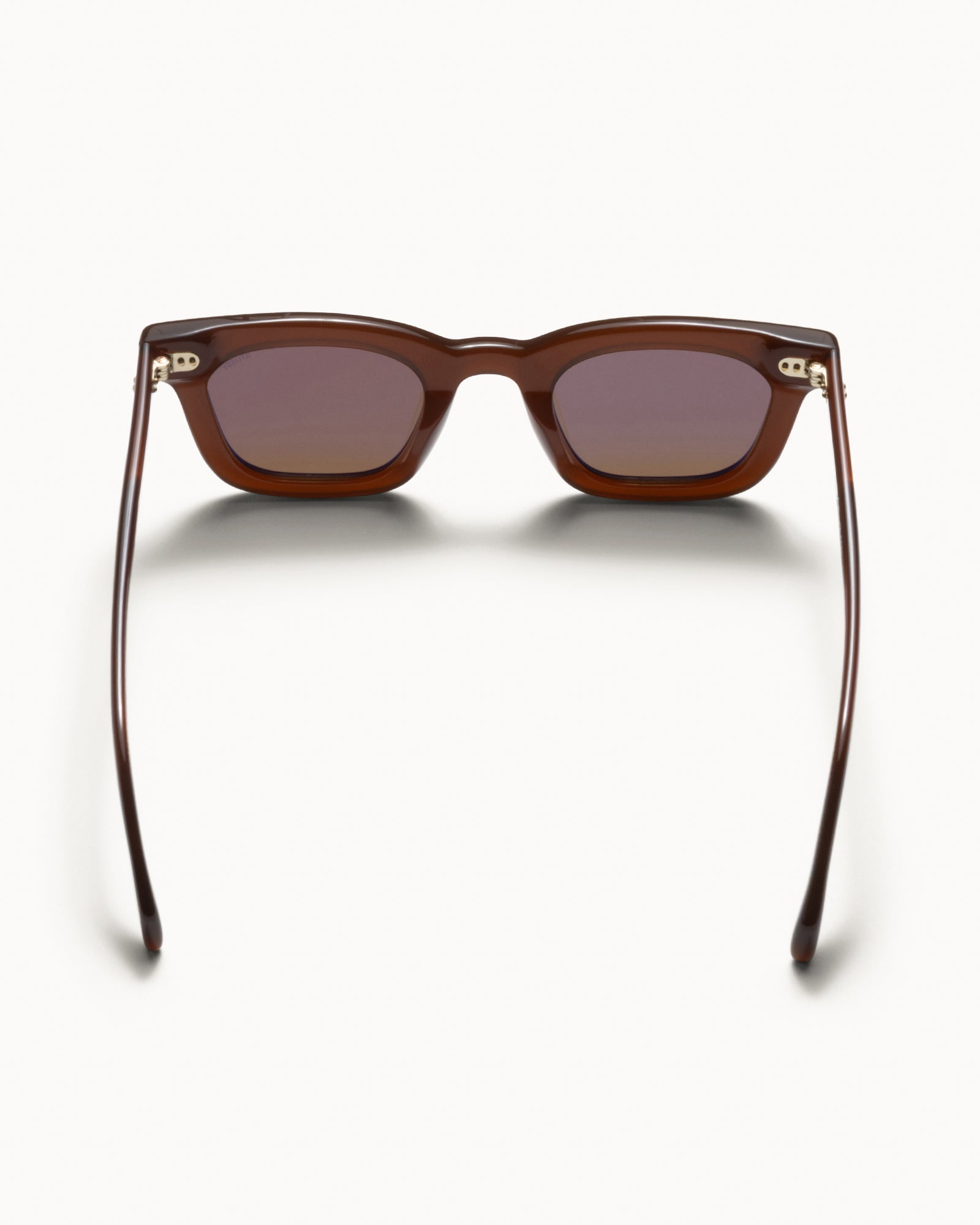 Ace Sunglasses – Dark Brown/Brown Lens | Accessories | Stüssy Korea