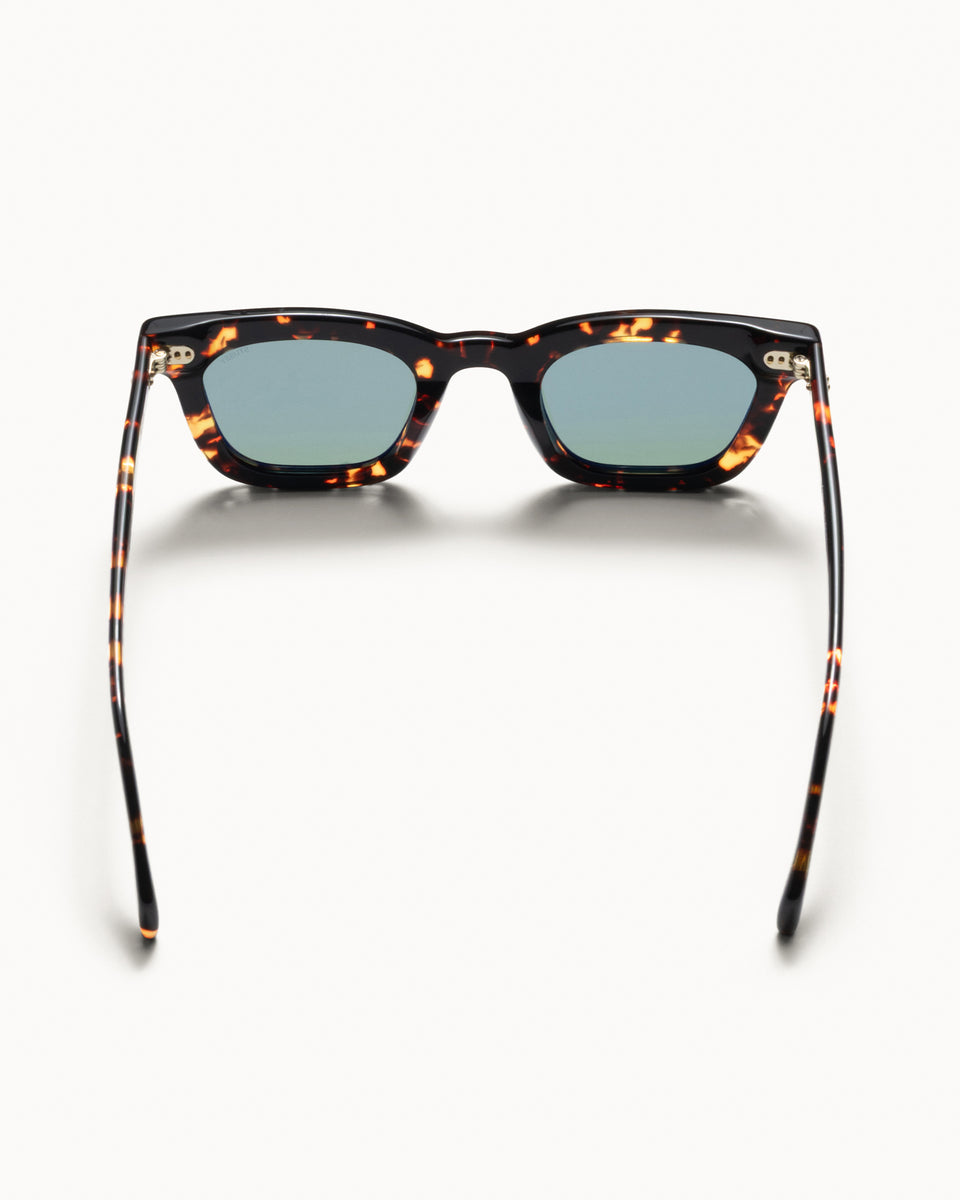 Ace Sunglasses Accessories In Tortoise/dark Green Lens