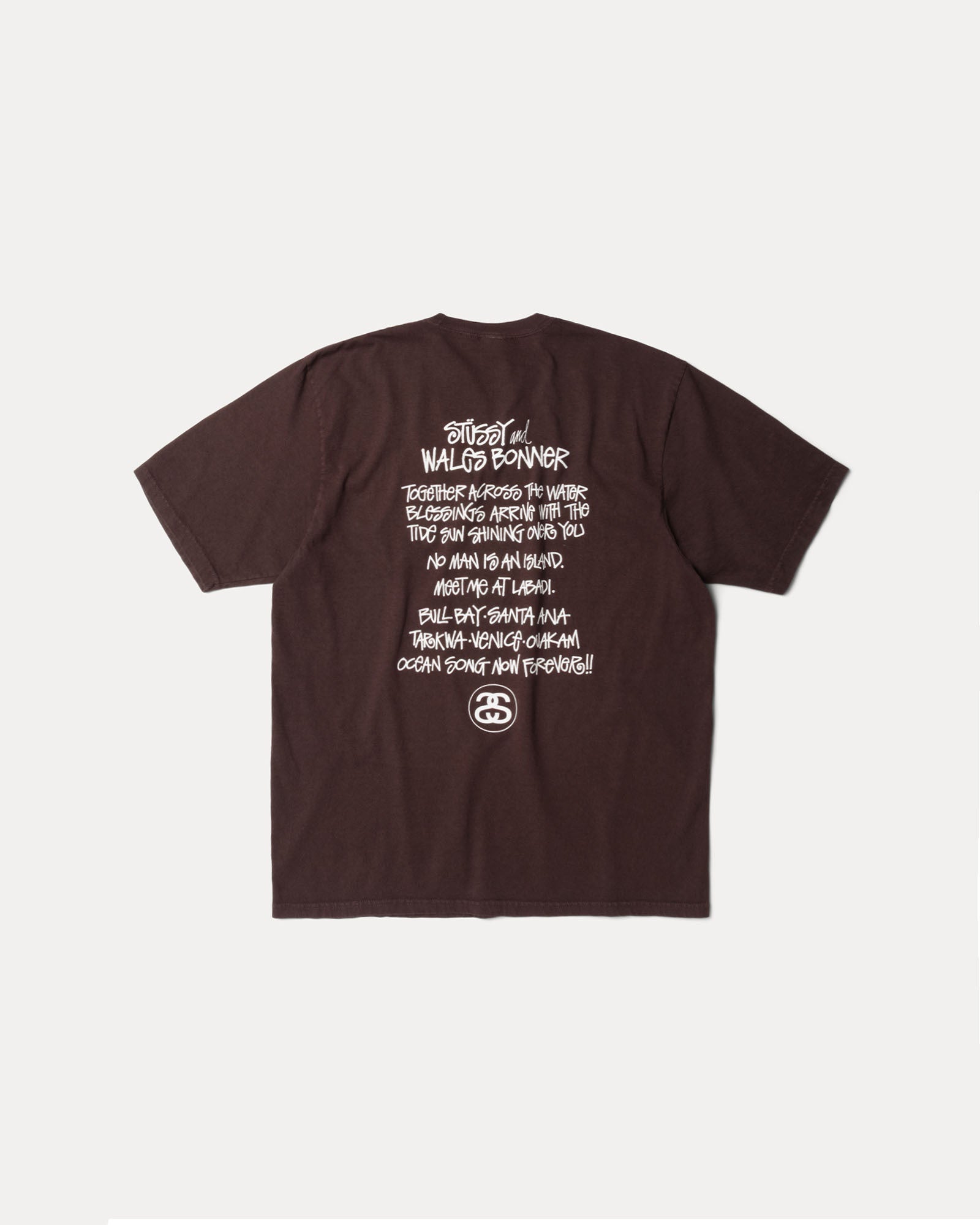 Wb Ocean Song Tee Mens Short Sleeve In Brown